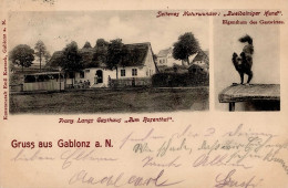 Gablonz An Der Neiße Gasthaus Zum Rosenthal Zweibeiniger Hund I-II Chien - Tchéquie