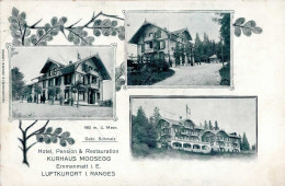 Lauperswil Emmenmatt (Bern) Hotel Moosegg 1908 II- (kleiner Einriss) - Otros & Sin Clasificación
