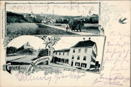 Herblingen (Schaffhausen) Gasthaus Zum Löwen 1901 I-II (fleckig) - Andere & Zonder Classificatie