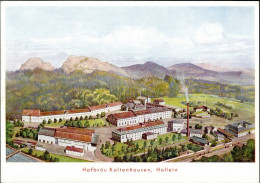 Hallein (Österreich) Brauerei Hofbräu Kaltenhausen I - Autres & Non Classés