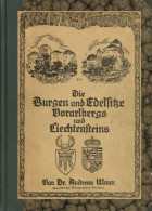 Dornbirn (Österreich) Buch Burgen Und Edelsitze Vorarlbergs Und Liechtenstein Von Dr. Ulmer, Andreas 1925, Vorarlberger  - Otros & Sin Clasificación
