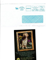 06 NICE EMA "Chiens D'aveugles De PACA" Et Carte Pour 589ème Chien Guide  1158 - Chiens