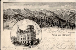 Dornbirn (Österreich) Hotel Rhomber Sign. Felle 1905 I-II - Autres & Non Classés