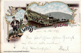 Wildschönau-Oberau (Österreich) 1899 I-II - Autres & Non Classés