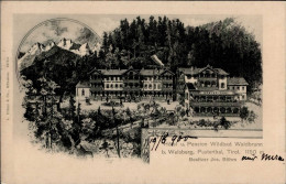 Welsberg (Italien) Hotel Pension Wildbad Waldbrunn Jos. Böhm 1900 I-II - Other & Unclassified