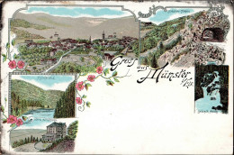Munster (Elsass) Hotel Altenberg I - Autres & Non Classés