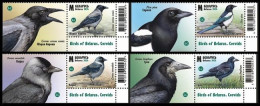 BELARUS 2024-08 FAUNA Animals Birds: Corvids. Crow Magpie Etc. Set With Attached Labels, MNH - Granjas