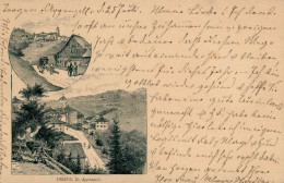 SCHWEIZ - 5 C.-GSK Mit Zusatzfrankatur TROGEN Canton Appenzell Pferdekutsche Hund 1897 I Selten! Chien - Autres - Europe