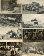 Elefant Lot Mit über 70 Ansichtskarten Vor 1945 I-II - Elefanten