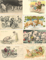 Schwein Lot Mit 85 Ansichtskarten Vor 1945 In Unterschiedlicher Erhaltung Cochon - Altri & Non Classificati