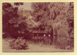 37. TOURS – Le Jardin Des Prébendes D'Oé / La Pièce D'eau / CPSM (voir Scan Recto/verso) - Tours