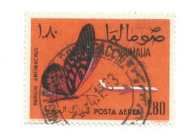 (SOMALIA) 1961, AFRICAN GIANT SWALLOWTAIL, PAPILIO ANTIMACHUS - 1 Francobollo Usato - Somalie (1960-...)