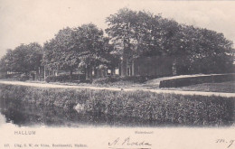 481521Hallum, Molenbuurt. (poststempel 1904) - Otros & Sin Clasificación