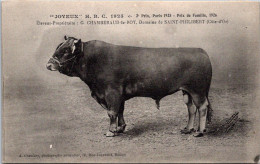 SELECTION -  SAINT PHILIBERT  -  éleveur Propriétaire G-CHAMBERAUD Le ROY " Joyeux " 1925 2e Prix à Paris - Autres & Non Classés