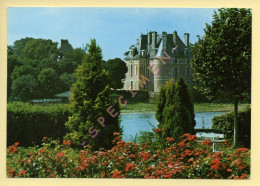 41. SELLES-SUR-CHER - Le Château / Pavillon Construit Au XVIè Siècle Par Le Frère De Sully (voir Scan Recto/verso) - Selles Sur Cher