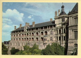 41. BLOIS – L'aile François 1er Ou Façade Des Loges Du Château (voir Scan Recto/verso) - Blois