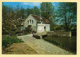 41. VILLIERS SUR LOIR - Le Moulin De CHANTEREINE (voir Scan Recto/verso) - Other & Unclassified