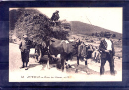 Auvergne. Retour Des Moissons - Wagengespanne