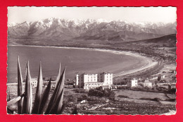 F-20-Calvi-07P41 La Plage Et Le Fond Du Golfe, Type Photo, BE - Calvi