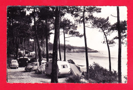 F-17-Meschers-49Ph74  La Plage De Suzac Vue Du Camp De La Côte De Beauté, Tentes, Caravanes, Vieilles Voitures - Meschers