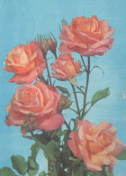 FLORES Vintage Tarjeta Postal CPSM #PAR357.ES - Fleurs