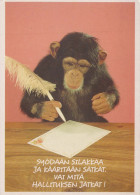 MONKEY Animals Vintage Postcard CPSM #PBS006.GB - Singes