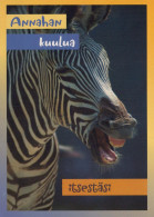 ZEBRA Animals Vintage Postcard CPSM #PBR933.GB - Cebras