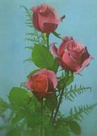 FLEURS Vintage Carte Postale CPSM #PAR958.FR - Blumen