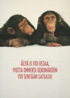 SINGE Animaux Vintage Carte Postale CPSM #PAN995.FR - Monos