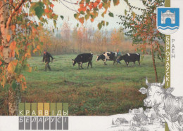 VACA Animales Vintage Tarjeta Postal CPSM #PBR789.ES - Vaches