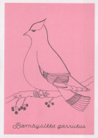 VOGEL Tier Vintage Ansichtskarte Postkarte CPSM #PAN161.DE - Birds