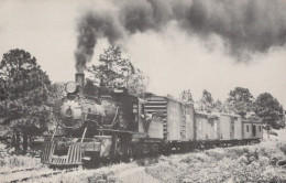 ZUG Schienenverkehr Eisenbahnen Vintage Ansichtskarte Postkarte CPSMF #PAA454.DE - Treinen