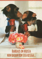 SCIMMIA Animale Vintage Cartolina CPSM #PAN997.IT - Monkeys