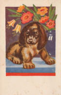 HUND Tier Vintage Ansichtskarte Postkarte CPA #PKE790.DE - Cani