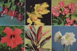 FLOWERS Vintage Ansichtskarte Postkarte CPSM #PBZ309.DE - Fiori