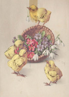 OSTERN HUHN EI Vintage Ansichtskarte Postkarte CPSM #PBO843.DE - Easter