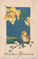 PASQUA UCCELLO Vintage Cartolina CPA #PKE482.IT - Easter