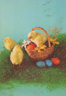 PASQUA POLLO UOVO Vintage Cartolina CPSM #PBO592.IT - Easter