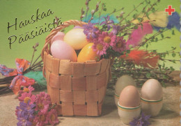 PASQUA UOVO Vintage Cartolina CPSM #PBO150.IT - Easter
