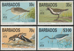 THEMATIC "HONG KONG '94" INTERNATIONAL STAMP EXHIBITION.  MIGRATORY BIRDS    -    BARBADOS - Exposiciones Filatélicas