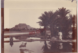 Fixe Algérie El Golea Albuminé Fin XIX è Siècle Le Ksar Et La Palmeraie - Anciennes (Av. 1900)