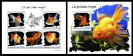 Guinea  2023 Goldfish. (312) OFFICIAL ISSUE - Fishes