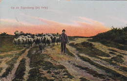 4822101Op De Zijpenberg Bij Velp. 1911. (zie Hoeken En Randen) - Velp / Rozendaal