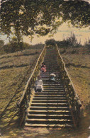 4822104Scheveningsche Boschjes De 77 Trapjes. 1913. (diverse Gebreken) - Den Haag ('s-Gravenhage)