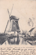 4822217Rotterdam, Molen Aan De Plas. (poststempel 1903)(bruine Vlekjes) - Rotterdam