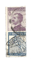 (REGNO D'ITALIA) 1924-1925, PUBBLICITARIO REINACH, 50c - 1 Francobollo Usato (CAT. SASSONE N.14) - Reclame