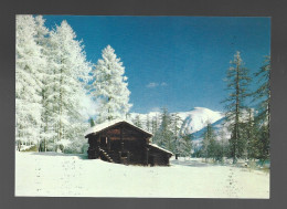 Bellwald Walliser Stadel Mit Larchen Im Rauhreif Photo Carte Schweiz Suisse Htje - Bellwald