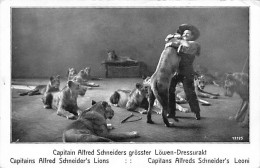 Dompteur Capitain Alfred Schneiders Grösster Löwen-Dressuarkt Lions Leoni Berlin - Zirkus