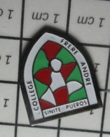 416c Pin's Pins / Beau Et Rare / ADMINISTRATIONS / VITRAIL COLLEGE FRERE ANDRE SINITE PUEROS - Amministrazioni