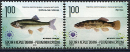 BOSNIA SERBIA(118) - Fish - European Nature Protection - MNH Set - 2010 - Bosnia And Herzegovina